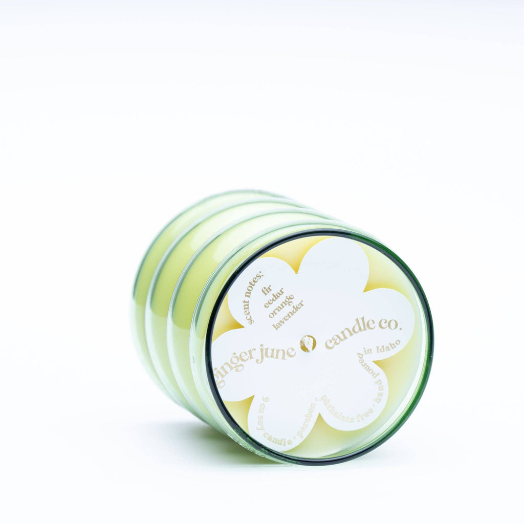 Take it Easy - Wiggle Collection - Green - 9 OZ Soy Candle