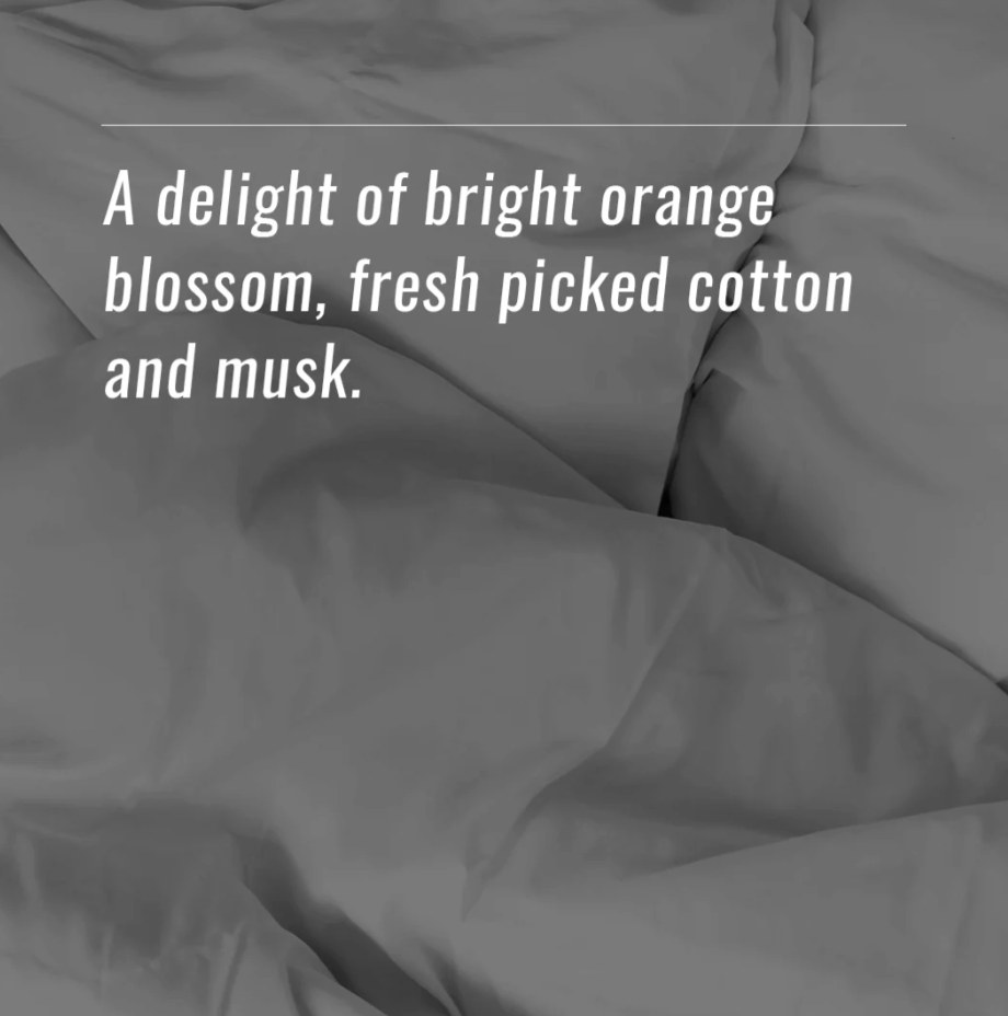 Gallon NuWash Laundry Detergent