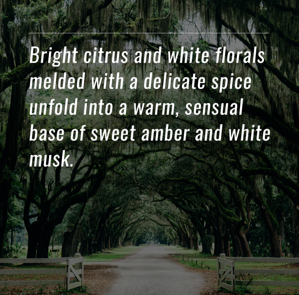 Effusion Fragrance Oil