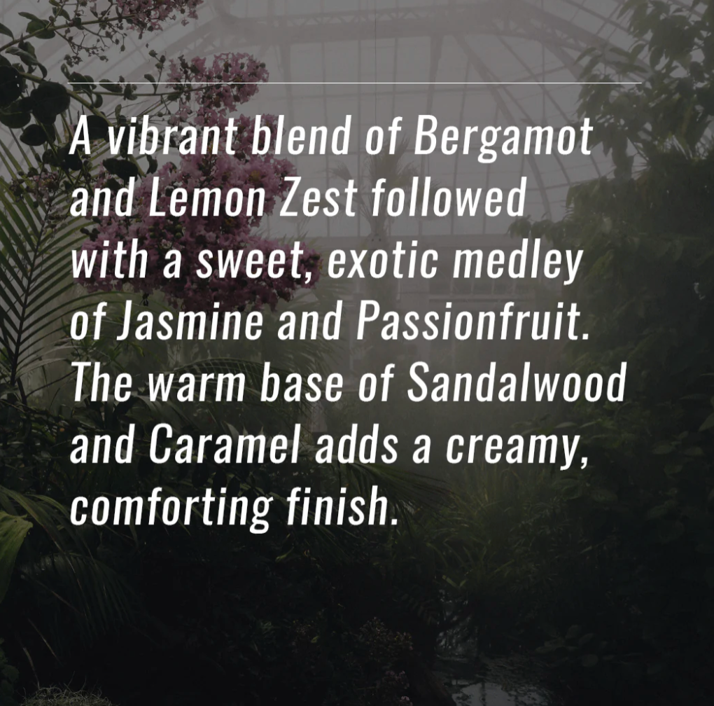 Scented Oil - 1/2 oz Dropper Bottle