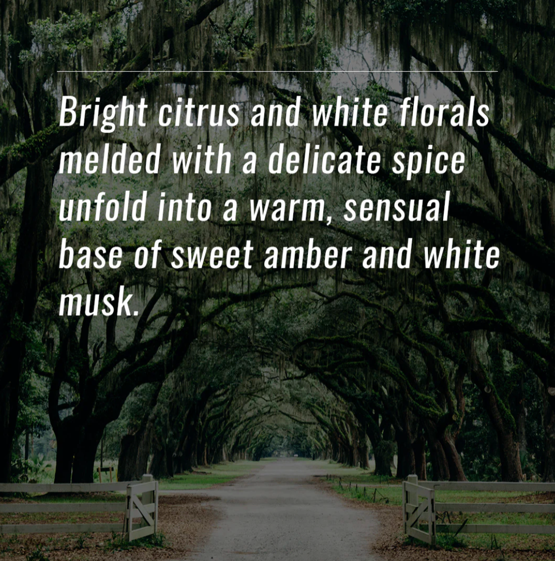 Room Spray (4 FL OZ)