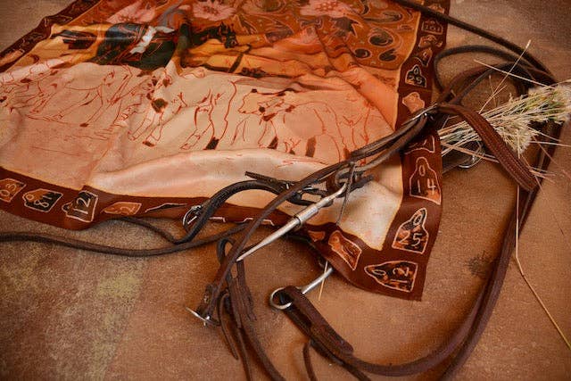Large 100% Mulberry Silk 35x35: Round Up Floral Cattle Cowgirl Western Wild Rag