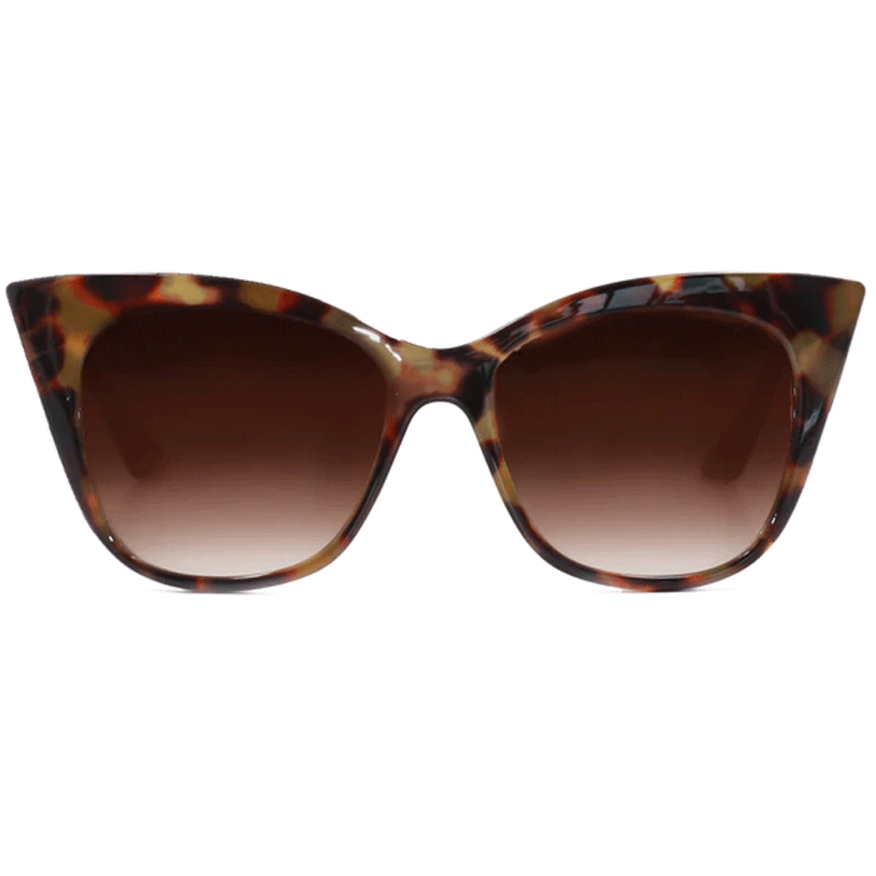 Venice Sunglasses in Tortoise Shell